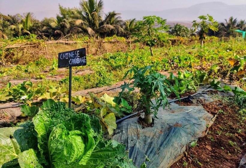 منتجع Fazlani Natures Nest  The Wellness Retreat