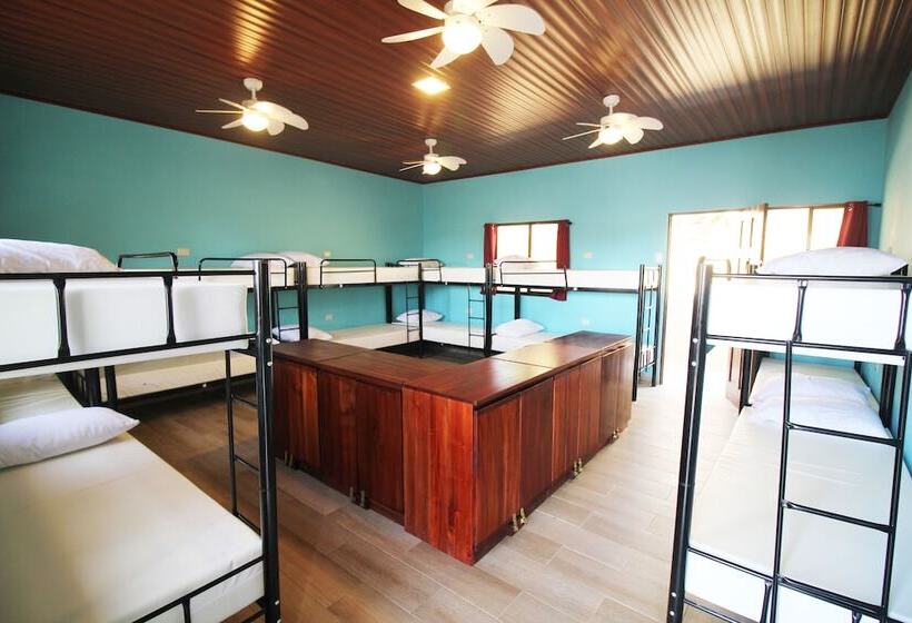 ユースホステル Teva Hotel & Jungle Reserve