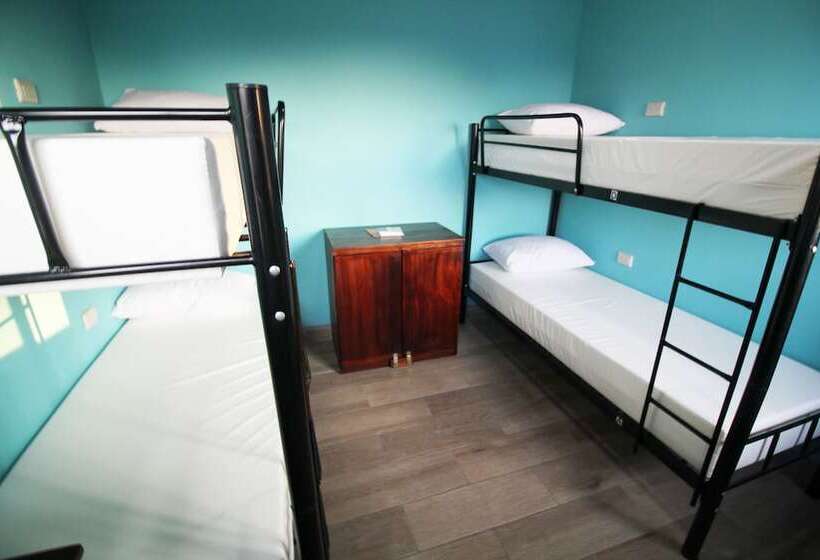 ユースホステル Teva Hotel & Jungle Reserve