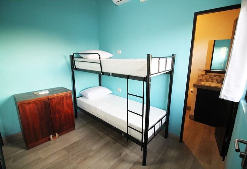 ユースホステル Teva Hotel & Jungle Reserve