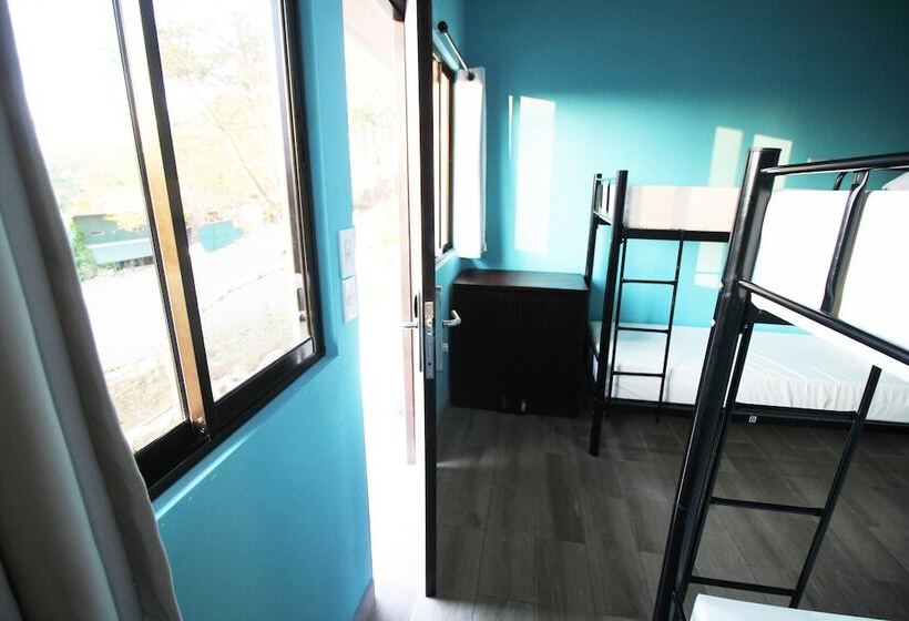 ユースホステル Teva Hotel & Jungle Reserve