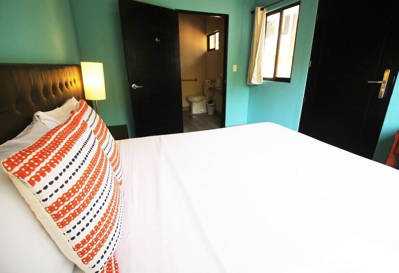 ユースホステル Teva Hotel & Jungle Reserve