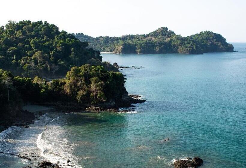 ユースホステル Teva Hotel & Jungle Reserve