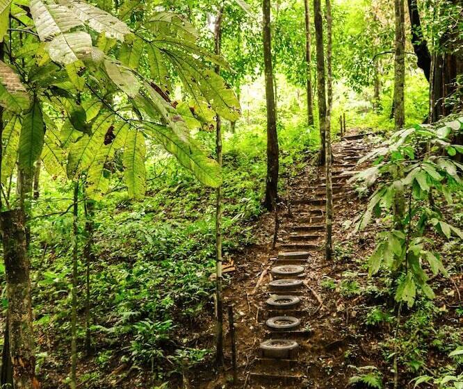 ユースホステル Teva Hotel & Jungle Reserve