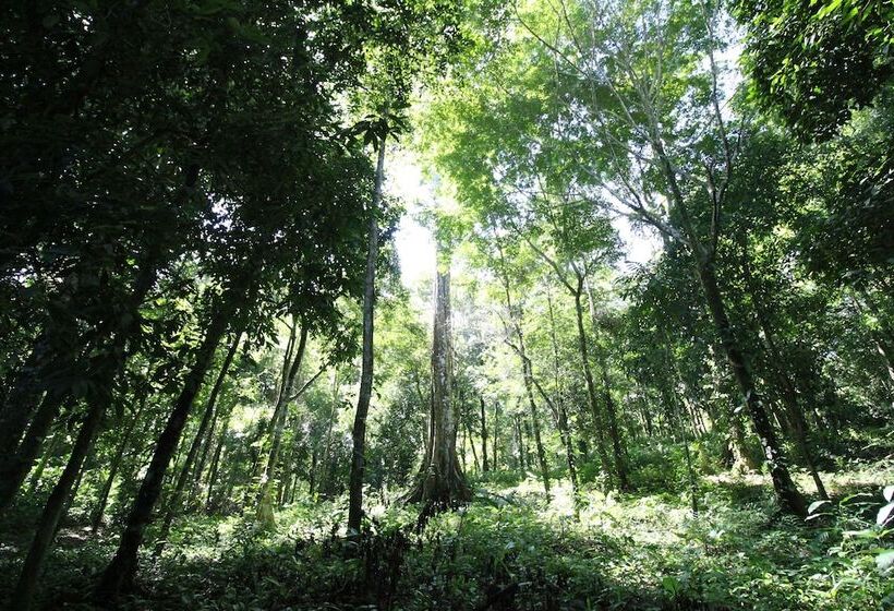 ユースホステル Teva Hotel & Jungle Reserve