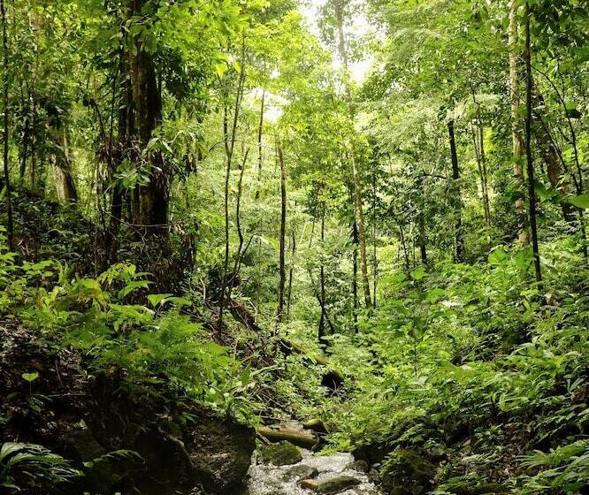 ユースホステル Teva Hotel & Jungle Reserve