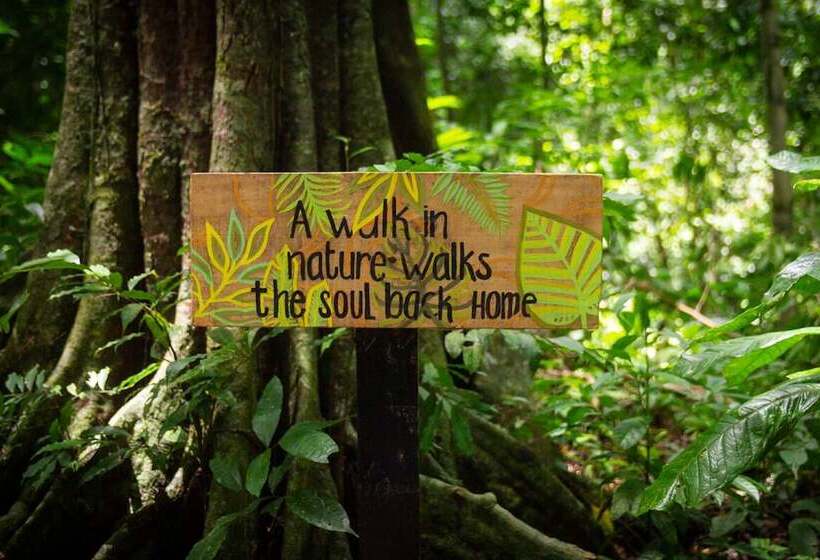 ユースホステル Teva Hotel & Jungle Reserve