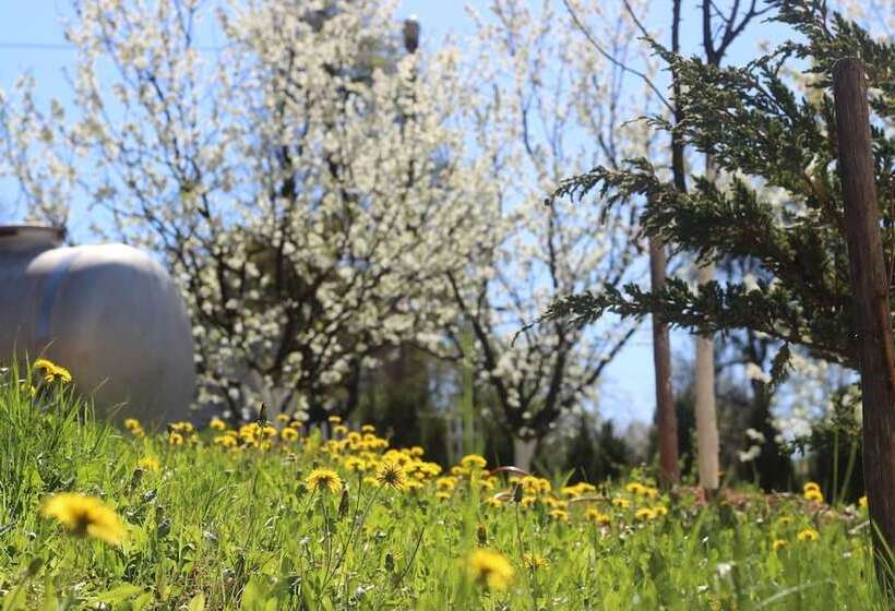 Bergkranc Hotel & Resort