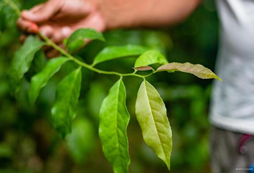 ペンション Hostal Pakay