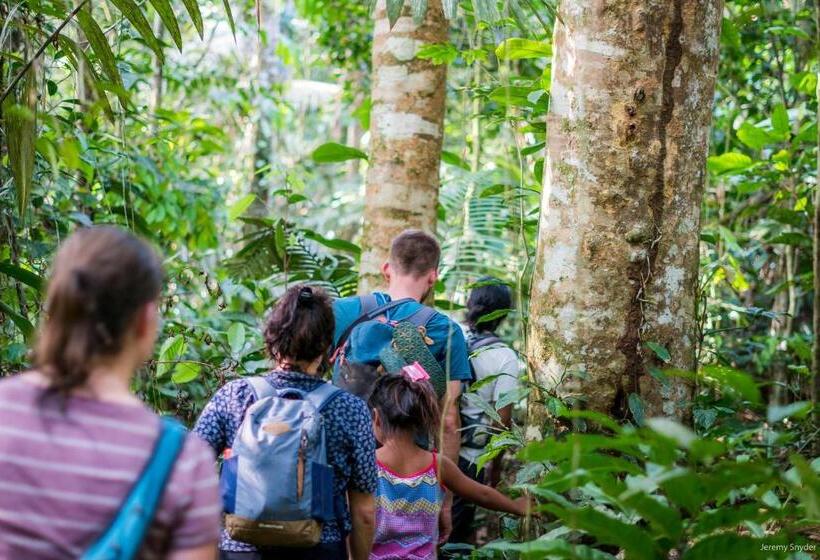 ペンション Hostal Pakay