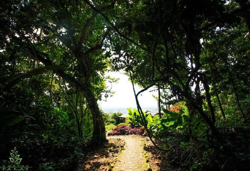 ペンション Hostal Pakay