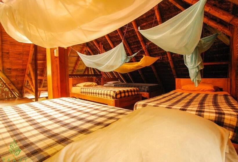 ペンション Hostal Pakay