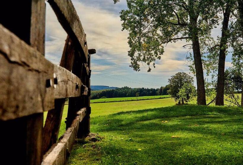 Отель Hofgut Held