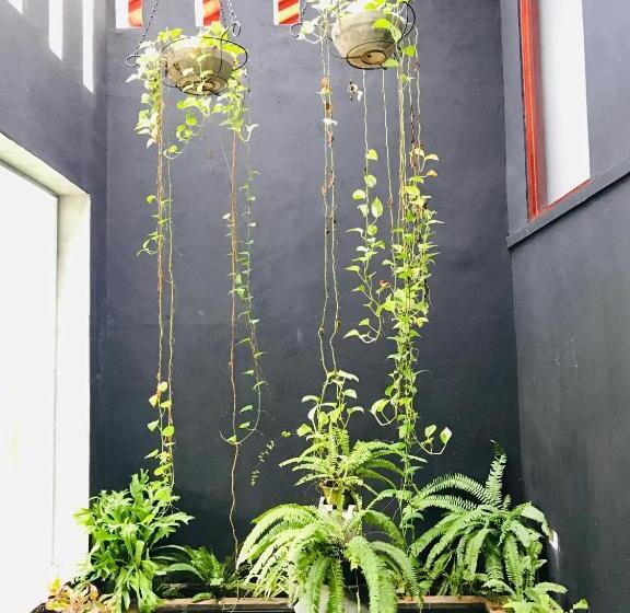 Отель Siluni S Villa