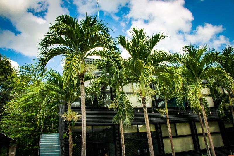 فندق Urban Bacalar