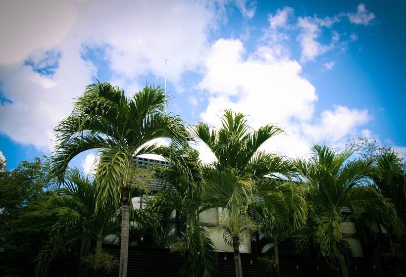 فندق Urban Bacalar