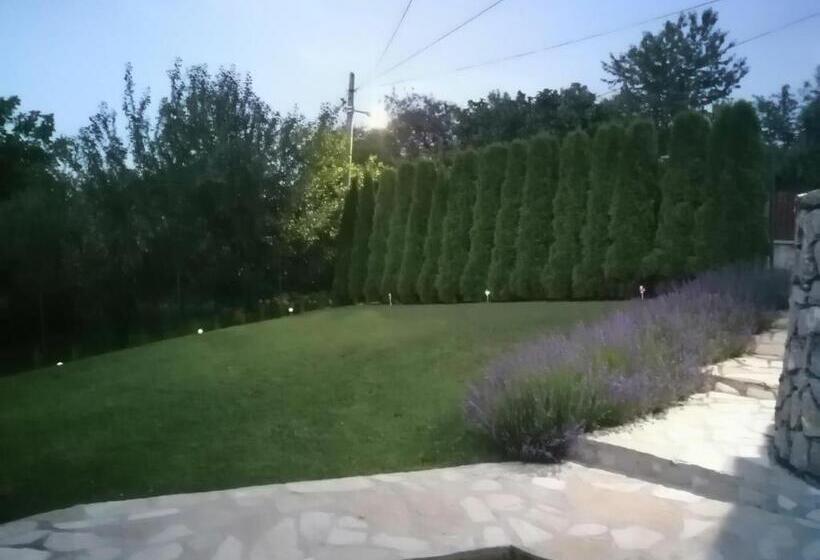 پانسیون Garden 022