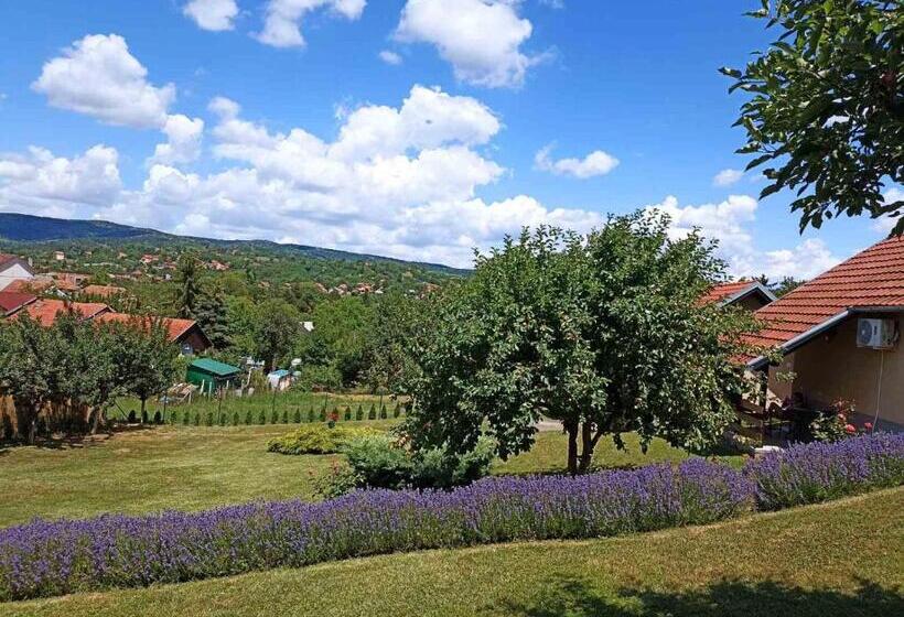 پانسیون Garden 022