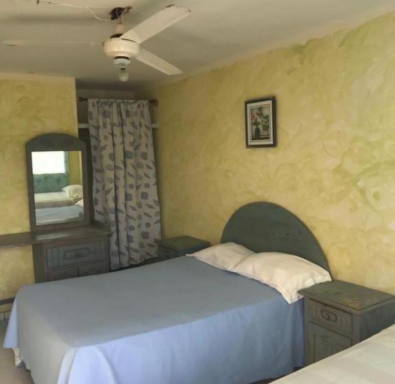 ホテル Hostal Thomas