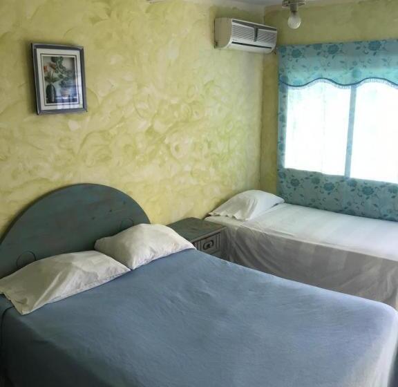 ホテル Hostal Thomas