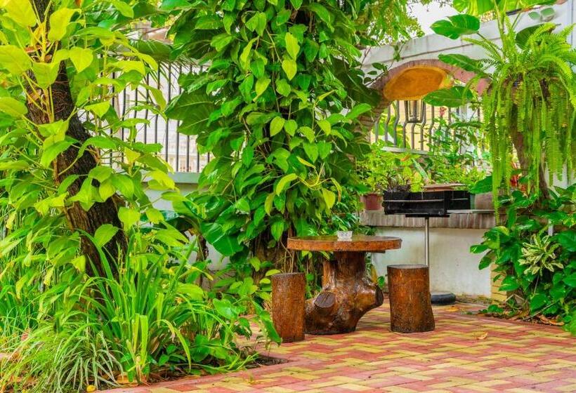 הוסטל Boutique Platanal