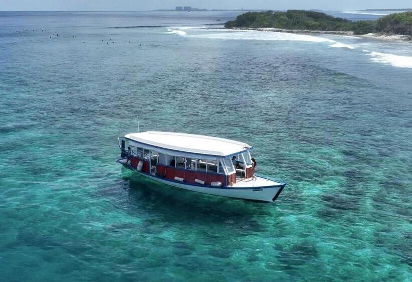 هاستل Surf Yoga Camp