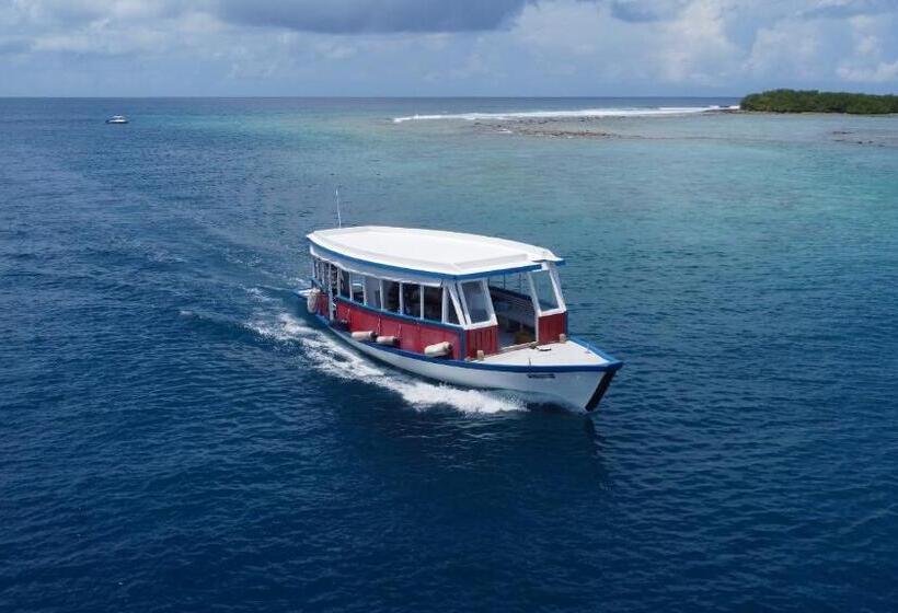 هاستل Surf Yoga Camp