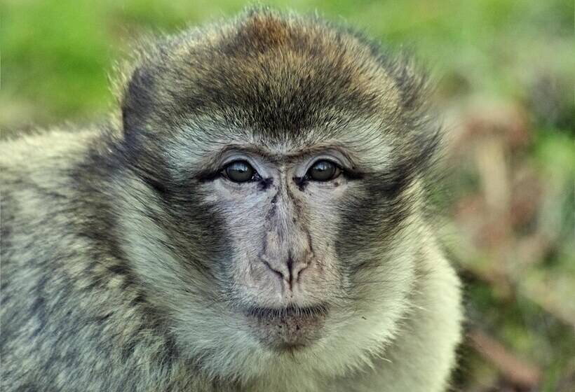 민박 Casa Milanina