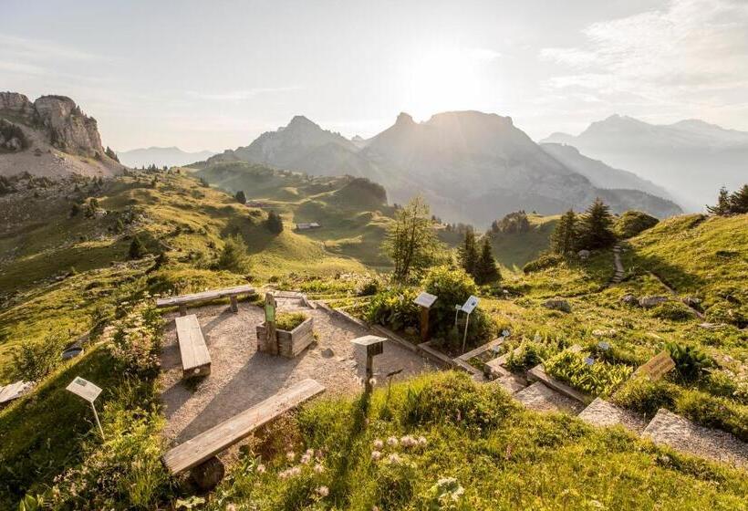 Berghotel Schynige Platte