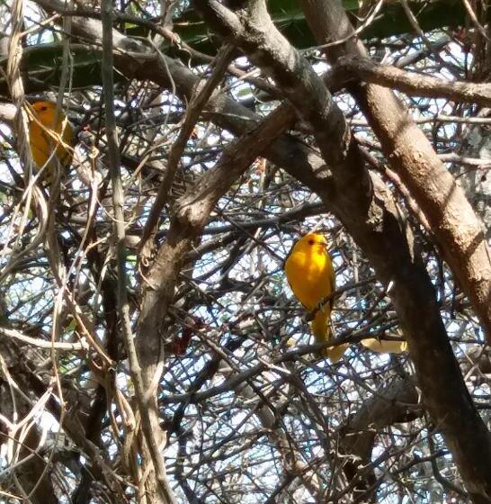 هتل Alojamiento Casa De Campo Los Cactus