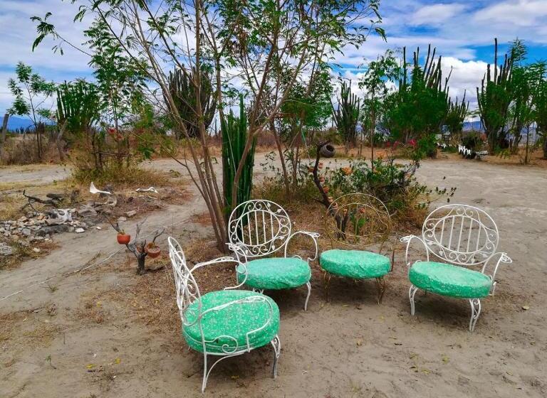 هتل Alojamiento Casa De Campo Los Cactus