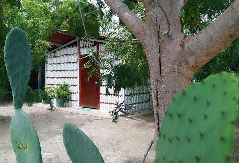 هتل Alojamiento Casa De Campo Los Cactus