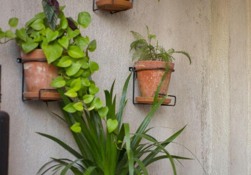 בית מלון כפרי Citlalli