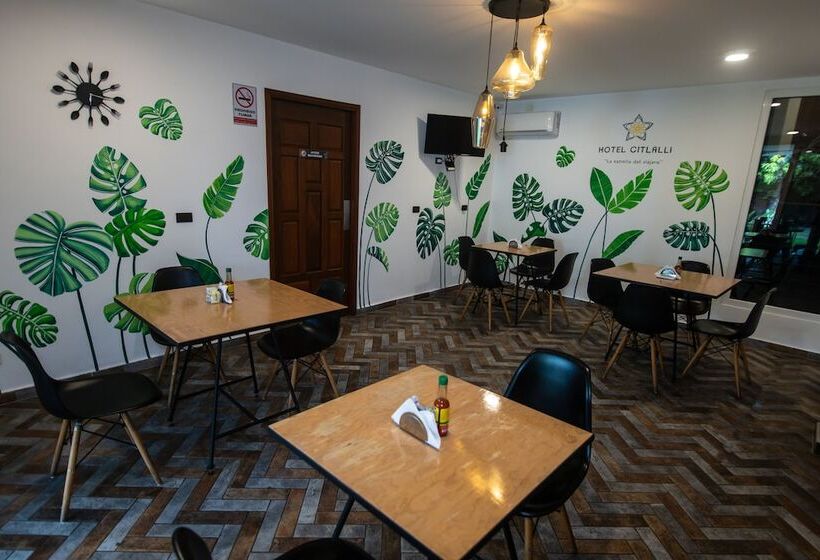 בית מלון כפרי Citlalli