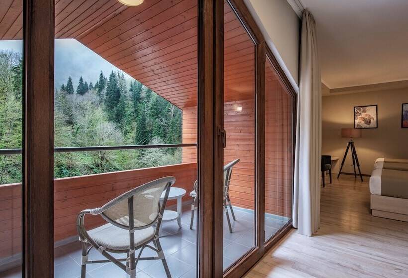 Sairme Hotels & Resorts