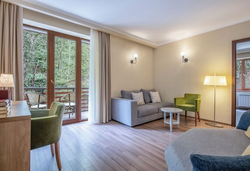 Sairme Hotels & Resorts