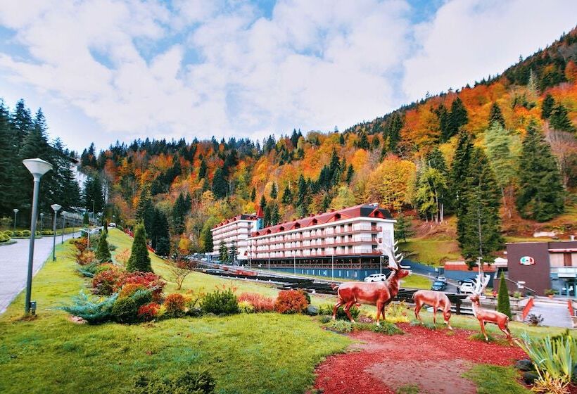 Sairme Hotels & Resorts