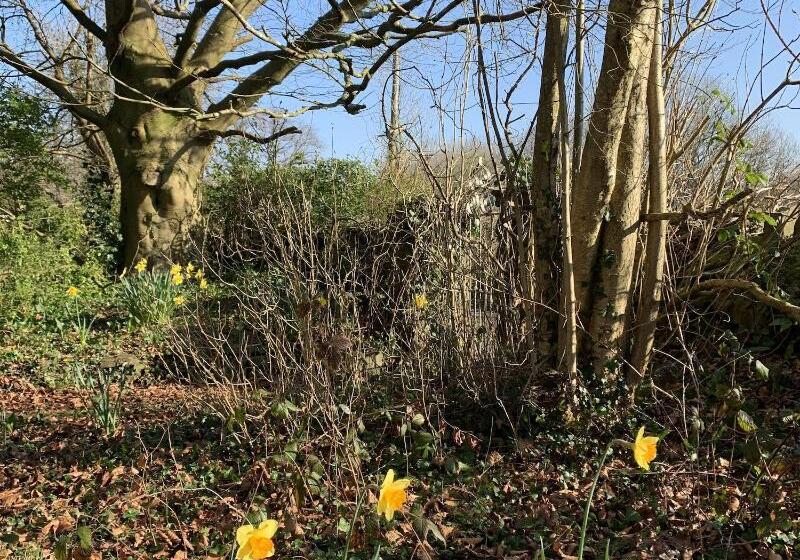Pontyclerc Farm House Bed And Breakfast
