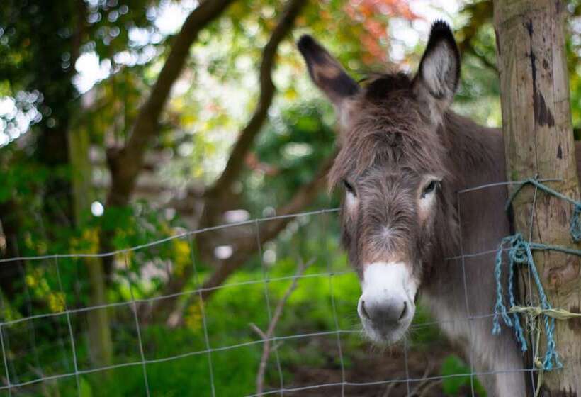 Pontyclerc Farm House Bed And Breakfast