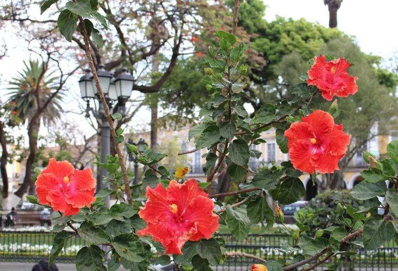 هاستل Nativa Suites