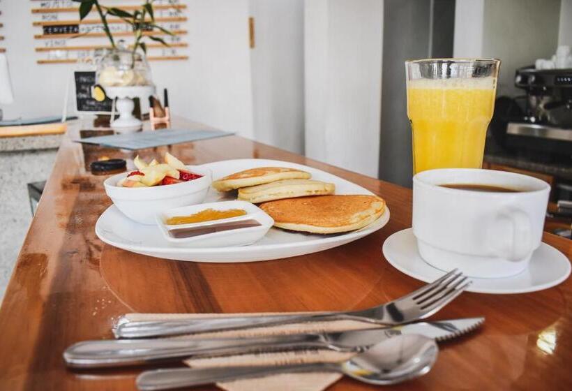 مبيت وإفطار Alternative Hostels