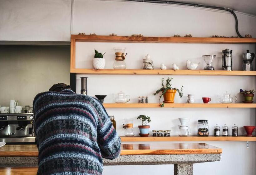 مبيت وإفطار Alternative Hostels