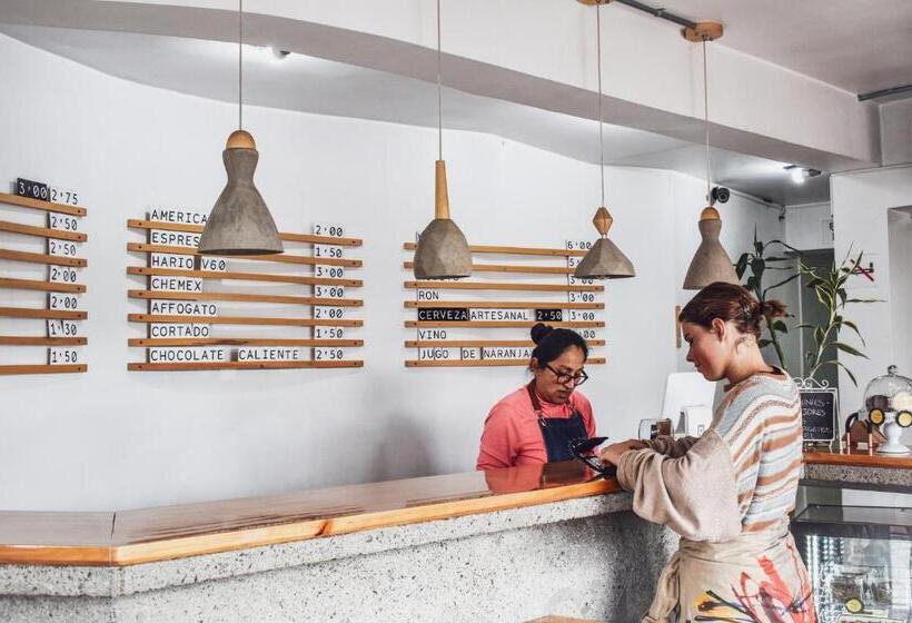 مبيت وإفطار Alternative Hostels