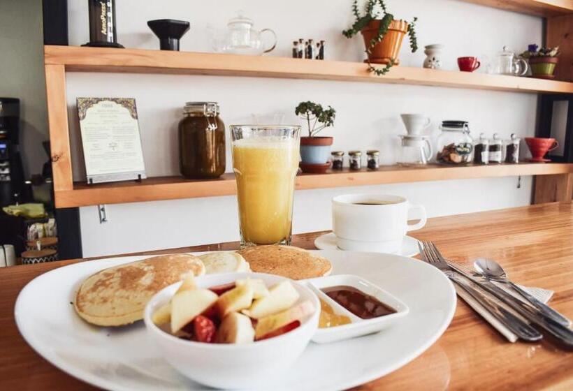 مبيت وإفطار Alternative Hostels