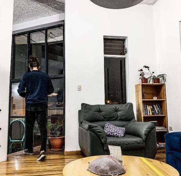 مبيت وإفطار Alternative Hostels