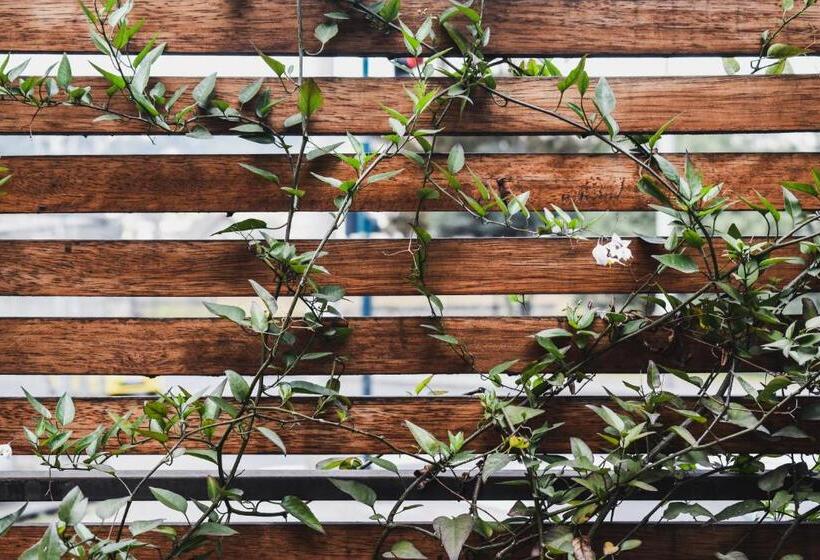 مبيت وإفطار Alternative Hostels