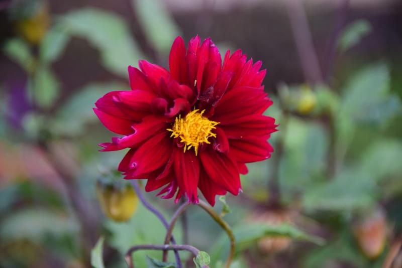 Fun Retreat Resort, Hotel And Ayurveda Spa