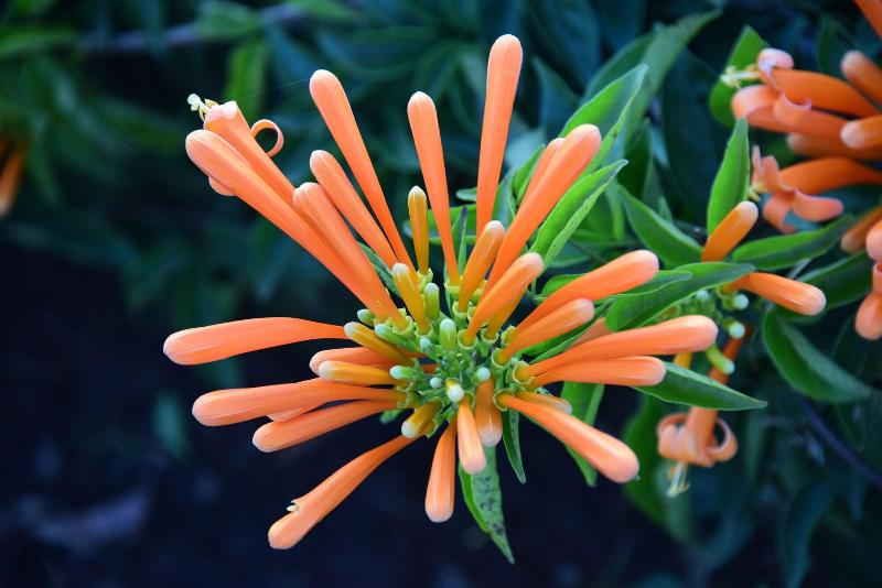 Fun Retreat Resort, Hotel And Ayurveda Spa