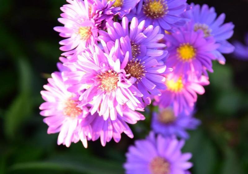 Fun Retreat Resort, Hotel And Ayurveda Spa