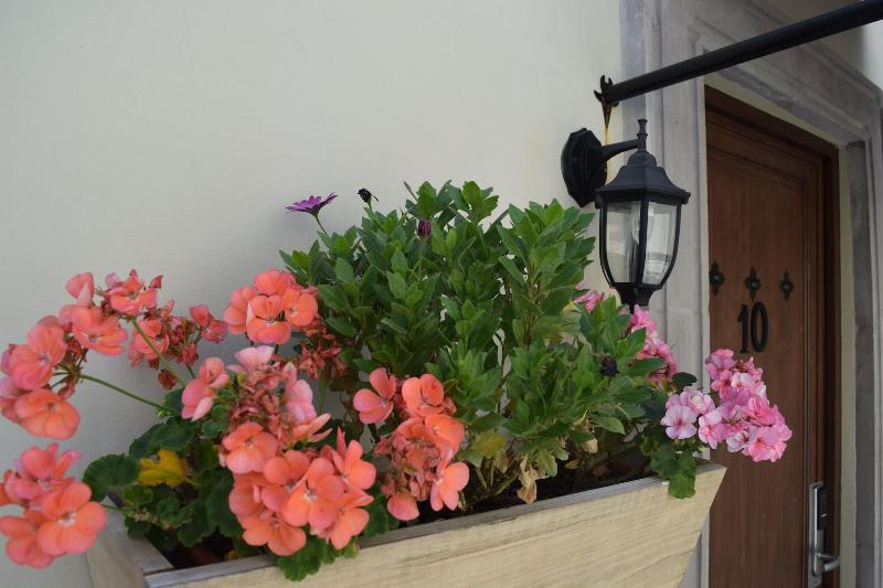 酒店 Bouquet   Adults Only